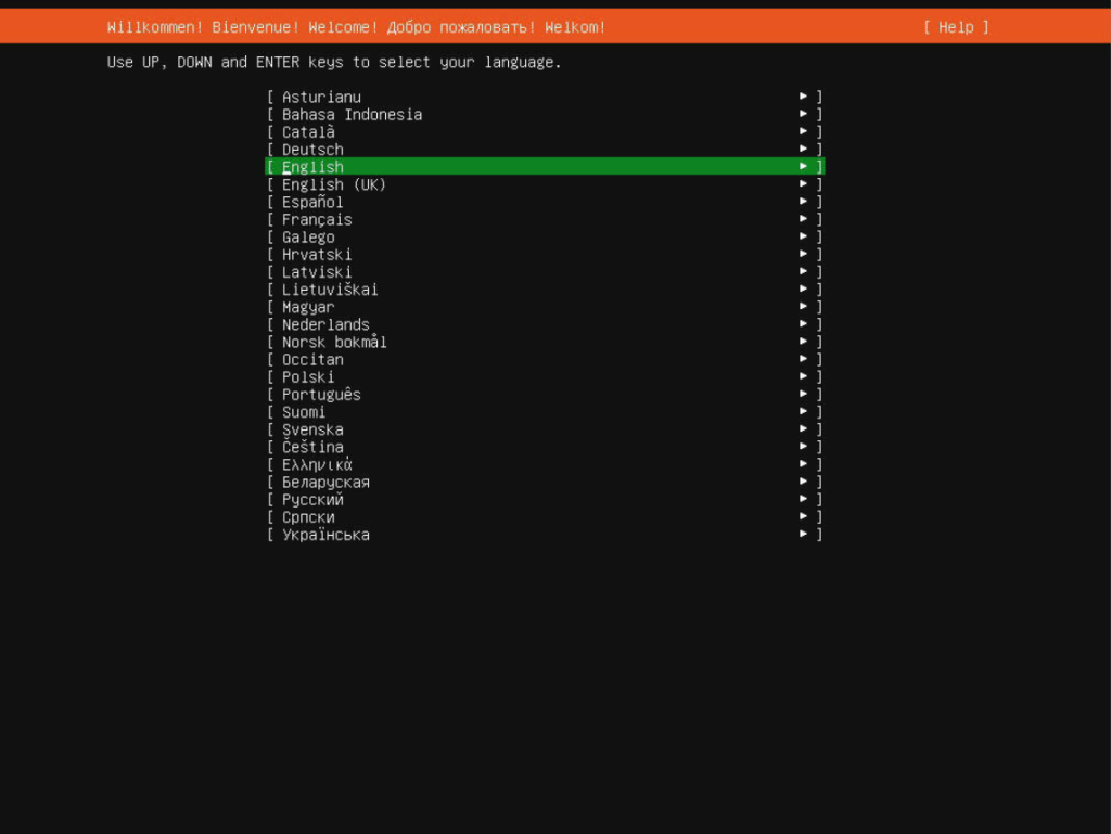 Ubuntu 24.04 language selection screen